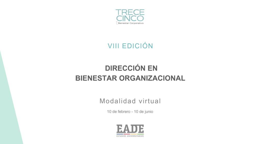 Programa Dirección Bienestar Organizacional VIII